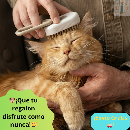 😺 Cepillo a Vapor, ¡Dale un día de spa en casa a tu Regalón!  🐶